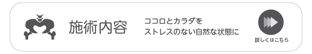 施術内容