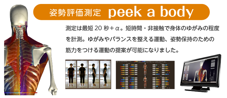 姿勢評価測定　peek a body